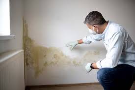 Best Mold Documentation for Insurance Claims  in Fulshear, TX